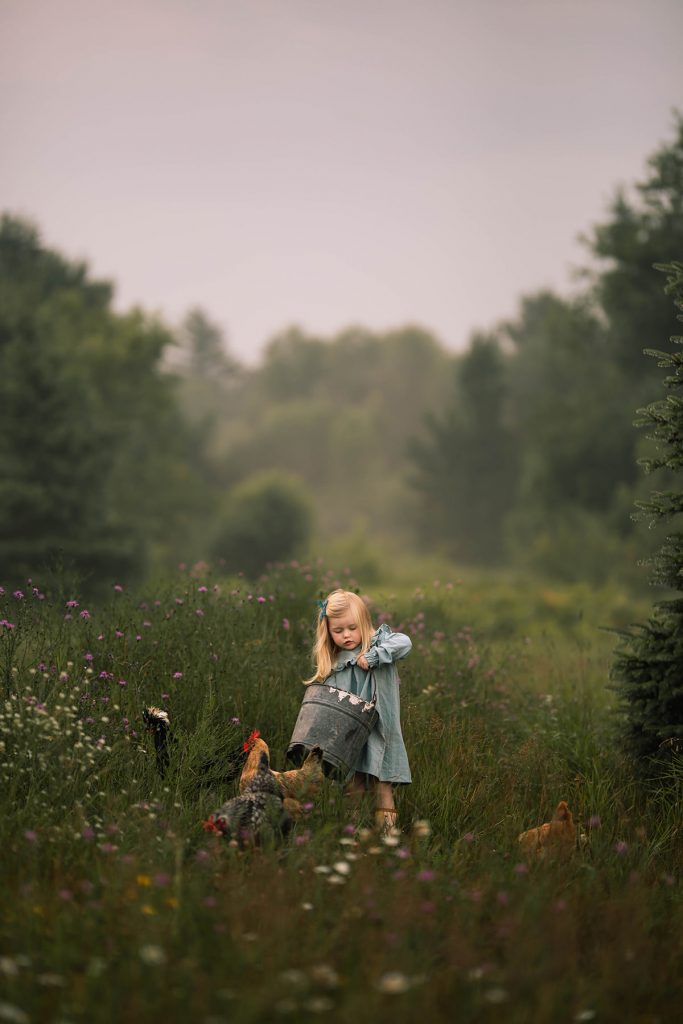 Meridian – Natura Presets