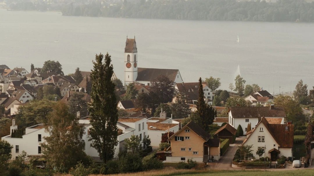 Gamut – Foris LUTs - Digital Presets