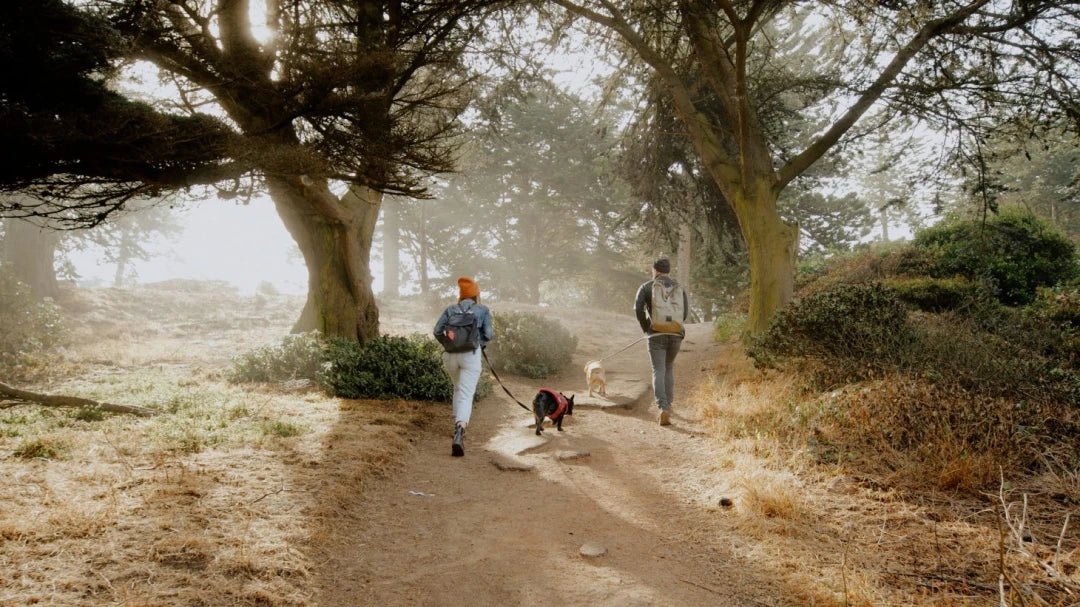 Gamut - Stratus LUT - Digital Presets