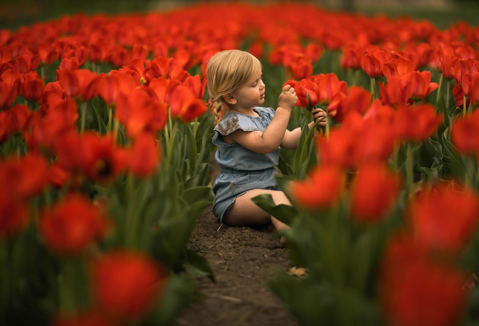 Meridian – Natura Presets