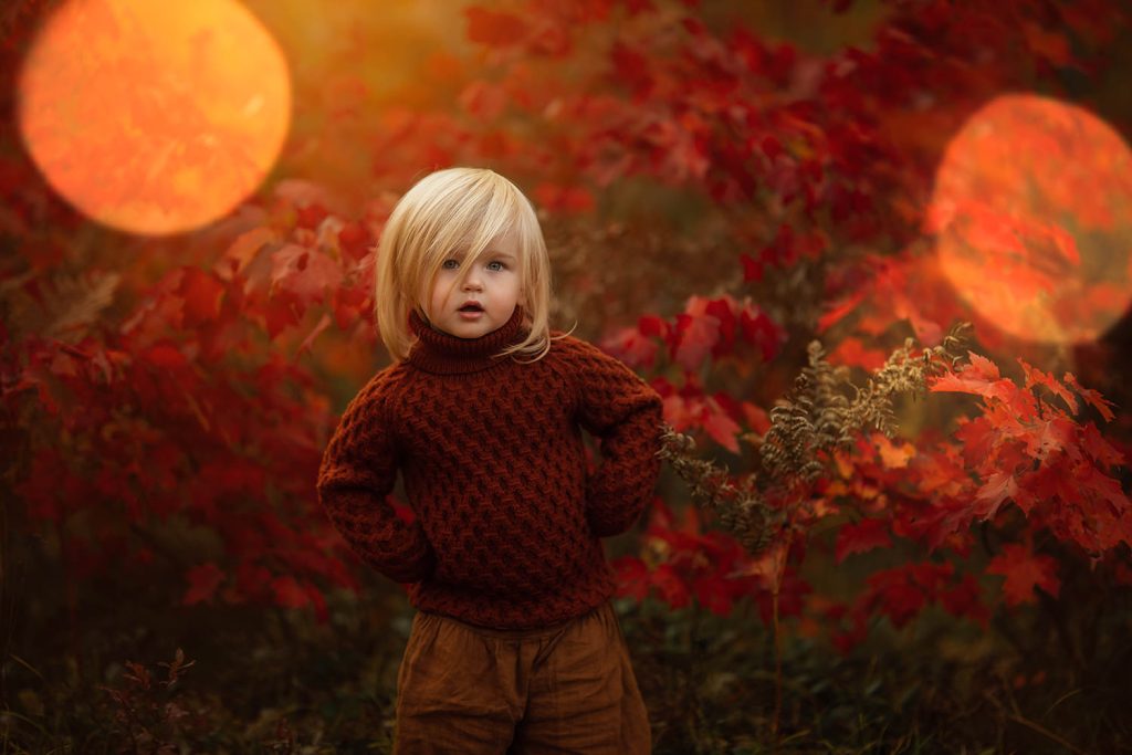 Meridian – Sphaera Presets by Meg Loeks