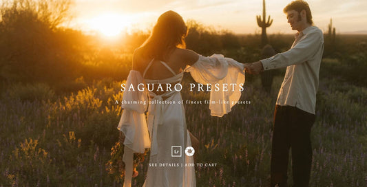 Meridian – Saguaro Presets by Annie Morgan