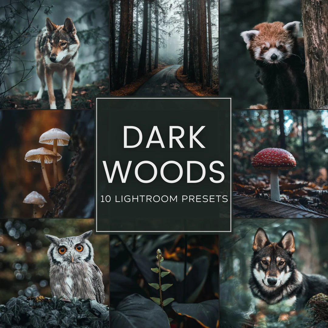 Dark Woods Lightroom Presets Pack
