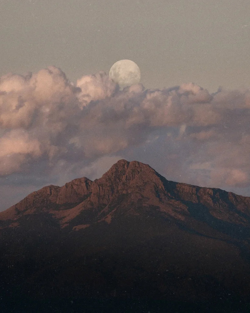 Meridian – Tide Presets