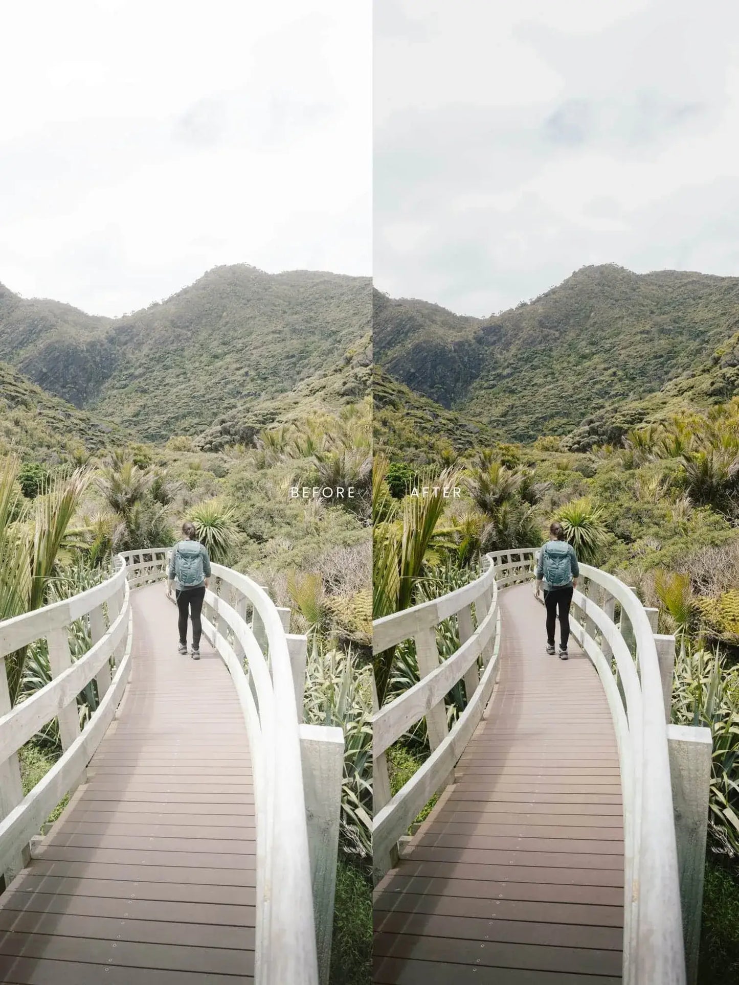 Preset Curator – Super Pack Cinematic LUT Collection