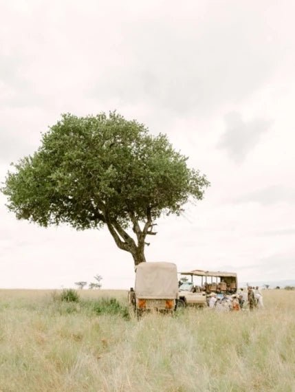 Refined x KT Merry – Luminous Color Presets - Digital Presets