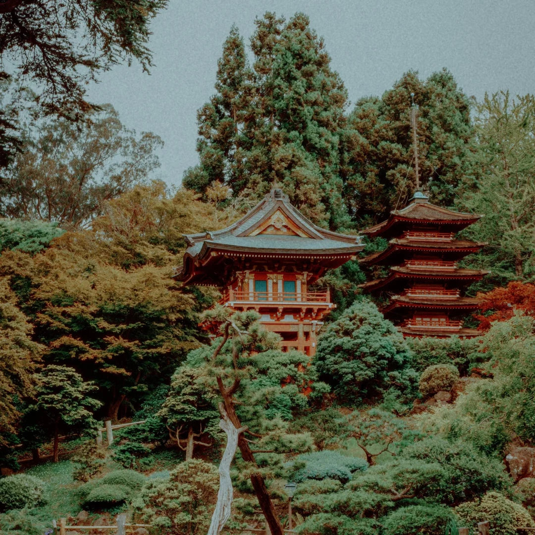 Analogica Lab – 16mm Fuji LUT