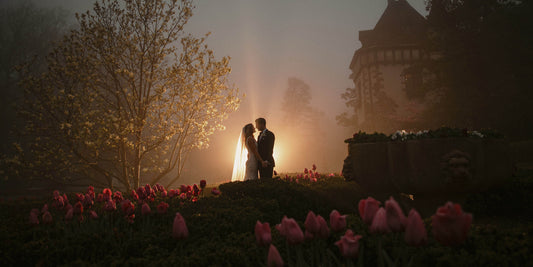 DVLOP – Susan Stripling | Cerebral