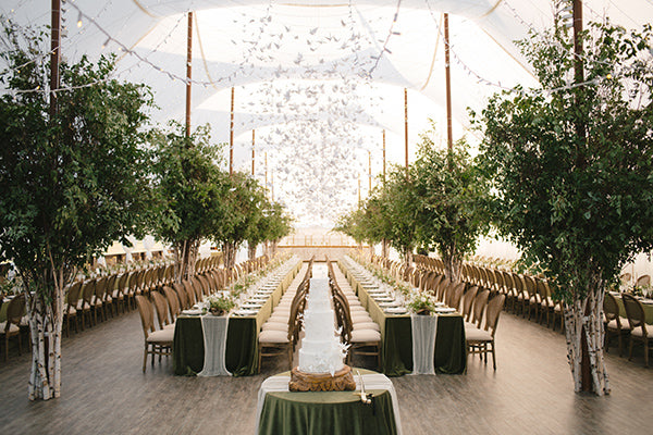 DVLOP – Kristen Marie Parker V2 Preset Collection