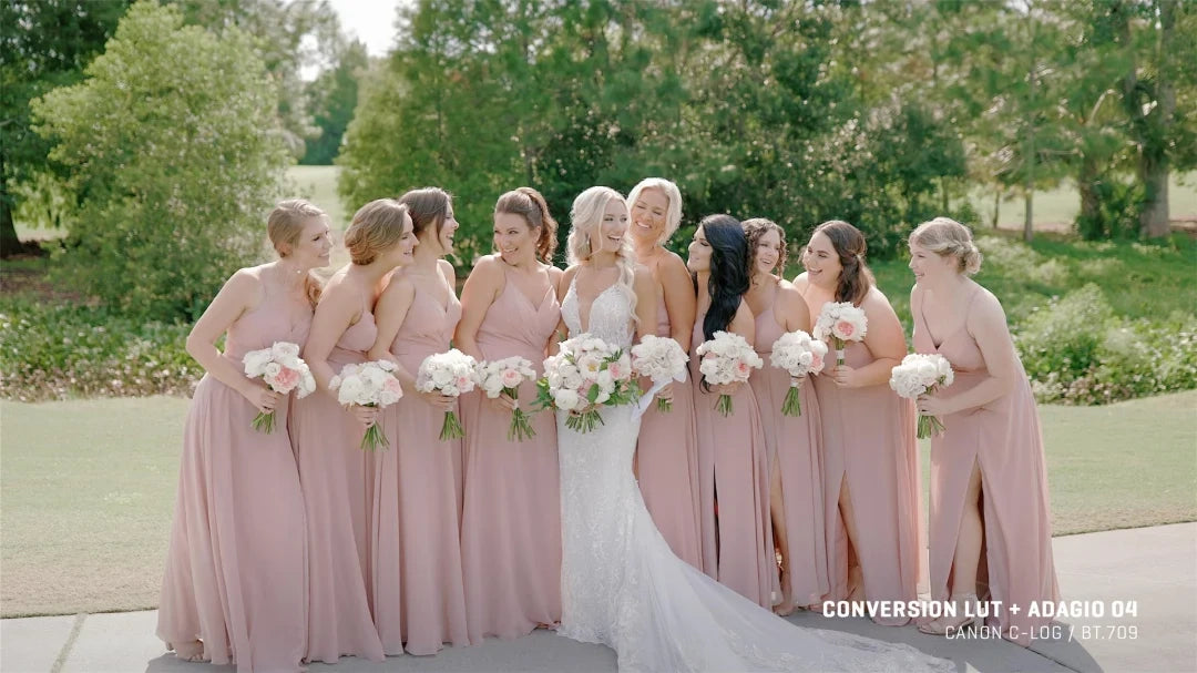 Gamut - Canon BaseLUTs for C-Log / C-Log 3