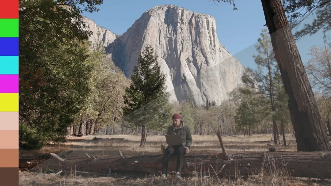 Gamut - Canon BaseLUTs for C-Log / C-Log 3