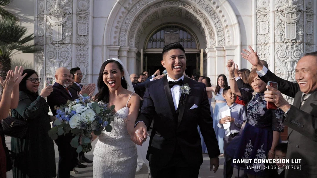 Gamut - Canon BaseLUTs for C-Log / C-Log 3