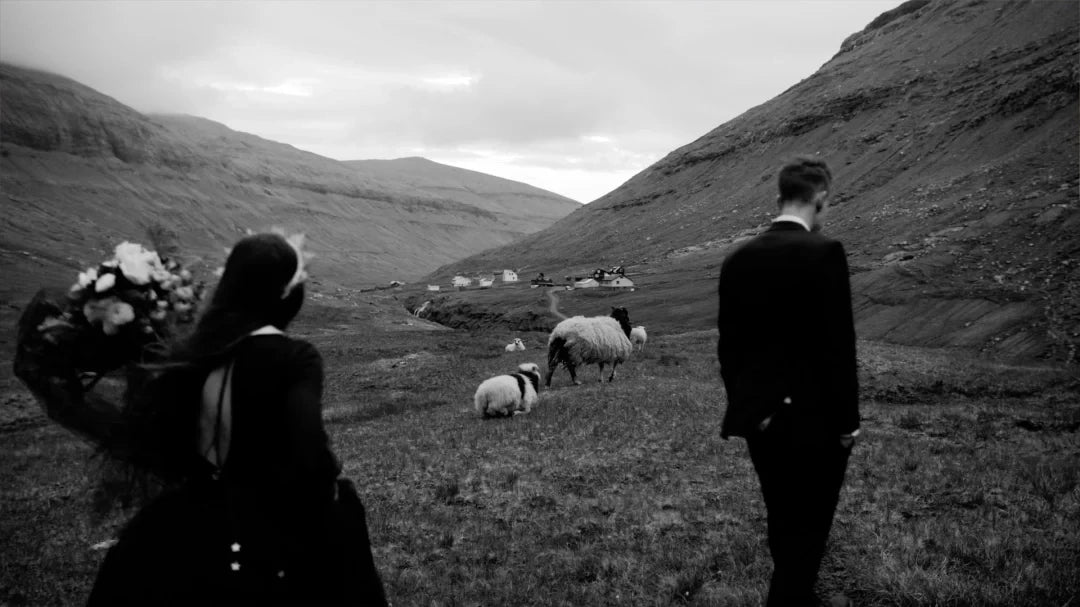 Gamut – Dolce LUTs