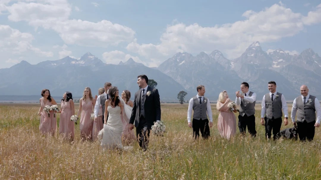 Gamut – Dolce LUTs