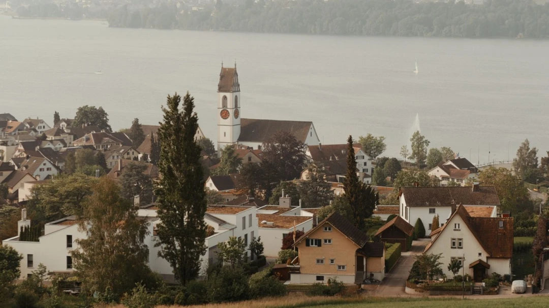 Gamut – Foris LUTs