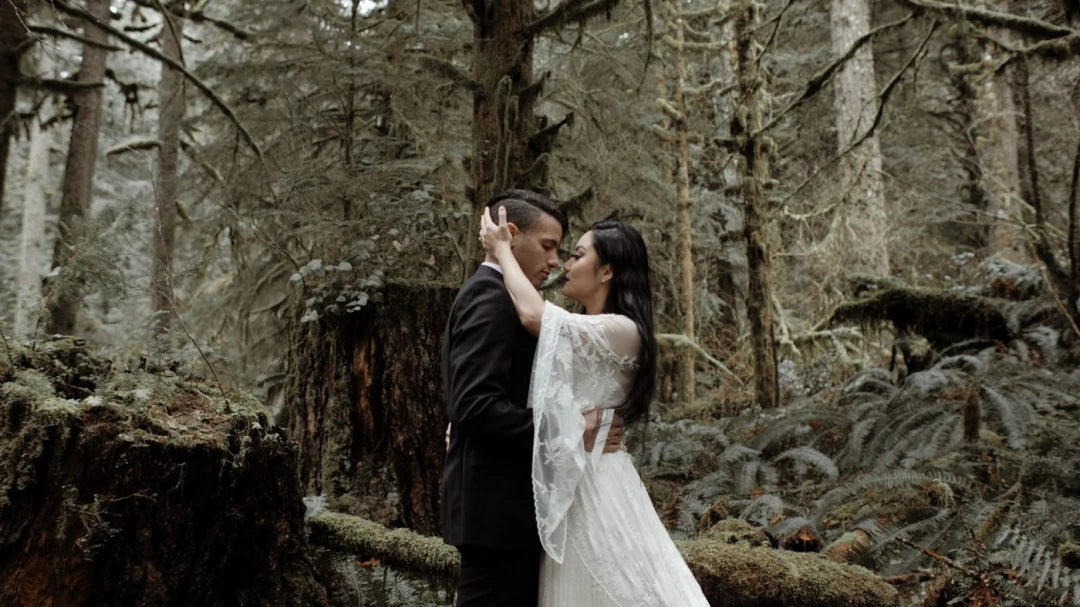 Gamut – Foris LUTs