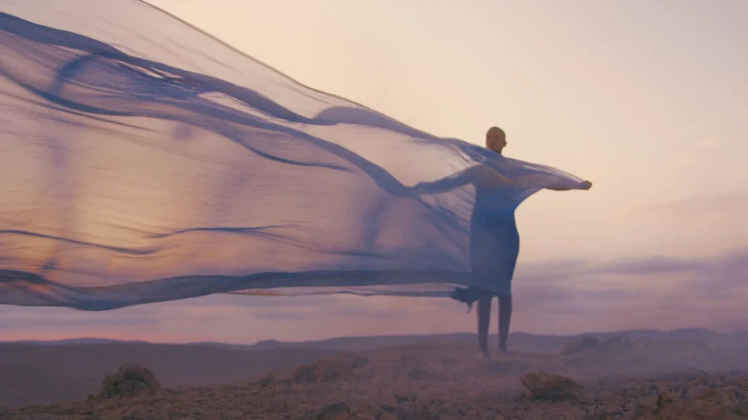 Gamut – Lotus LUTs