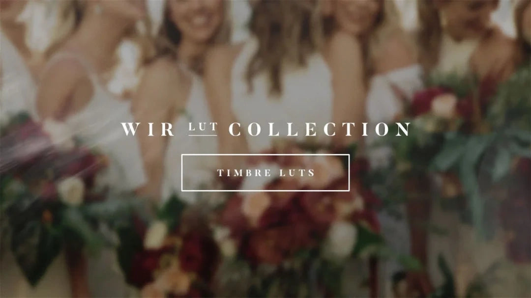 Gamut – White In Revery Timbre LUTs